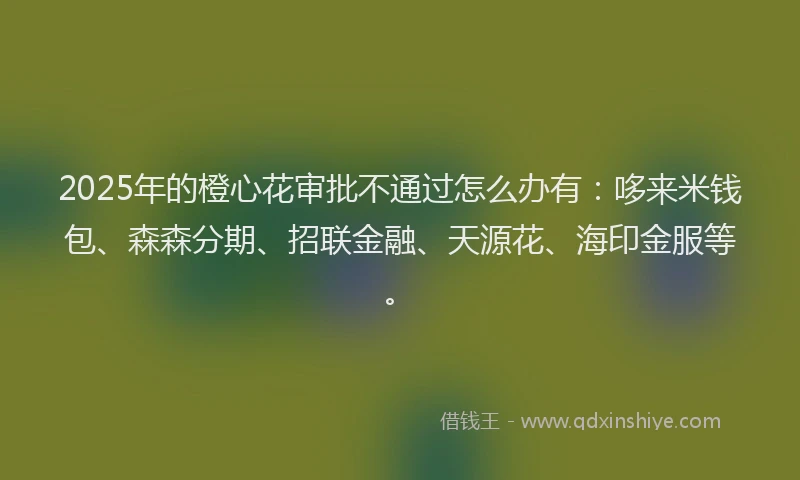 2025年的橙心花审批不通过怎么办有：哆来米钱包、森森分期、招联金融、天源花、海印金服等。