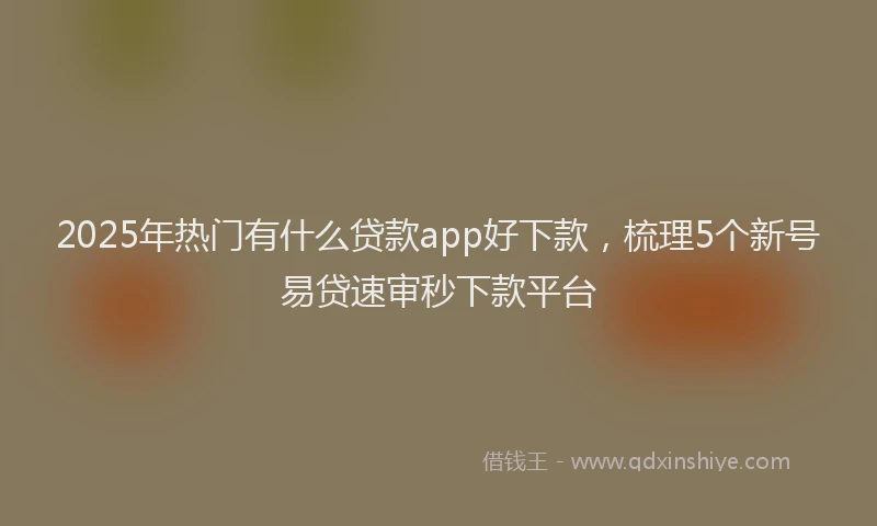 2025年热门有什么贷款app好下款,梳理5个新号易贷速审秒下款平台