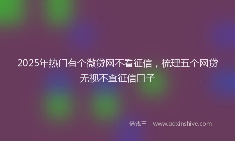 2025年热门有个微贷网不看征信,梳理五个网贷无视不查征信口子
