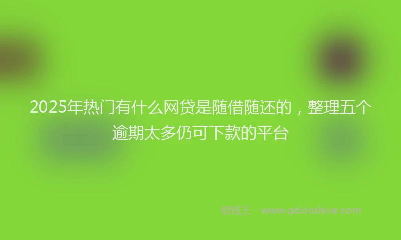 2025年热门有什么网贷是随借随还的，整理五个逾期太多仍可下款的平台