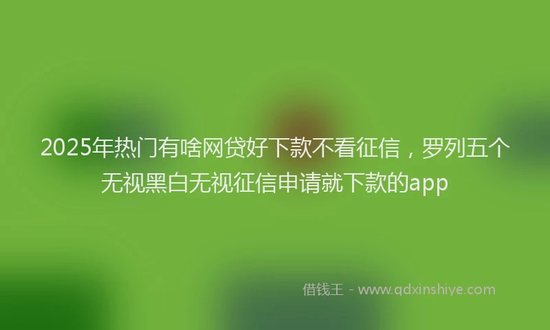 2025年热门有啥网贷好下款不看征信，罗列五个无视黑白无视征信申请就下款的app