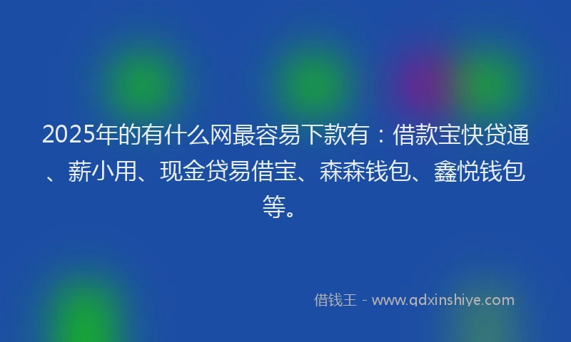 2025年的有什么网最容易下款有：借款宝快贷通、薪小用、现金贷易借宝、森森钱包、鑫悦钱包等。