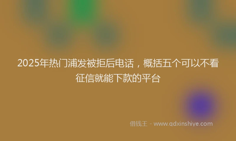 2025年热门浦发被拒后电话，概括五个可以不看征信就能下款的平台