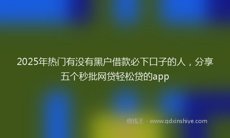 2025年热门有没有黑户借款必下口子的人，分享五个秒批网贷轻松贷的app