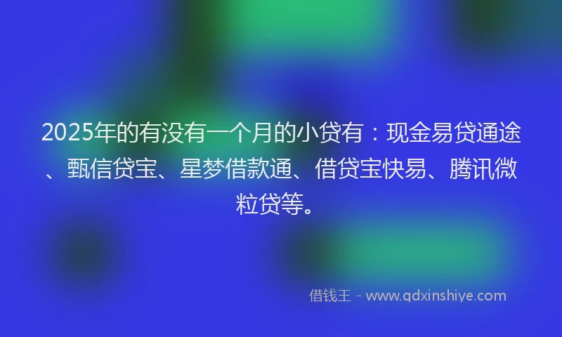 2025年的有没有一个月的小贷有：现金易贷通途、甄信贷宝、星梦借款通、借贷宝快易、腾讯微粒贷等。