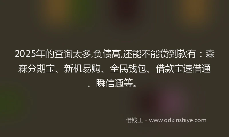 2025年的查询太多,负债高,还能不能贷到款有：森森分期宝、新机易购、全民钱包、借款宝速借通、瞬信通等。