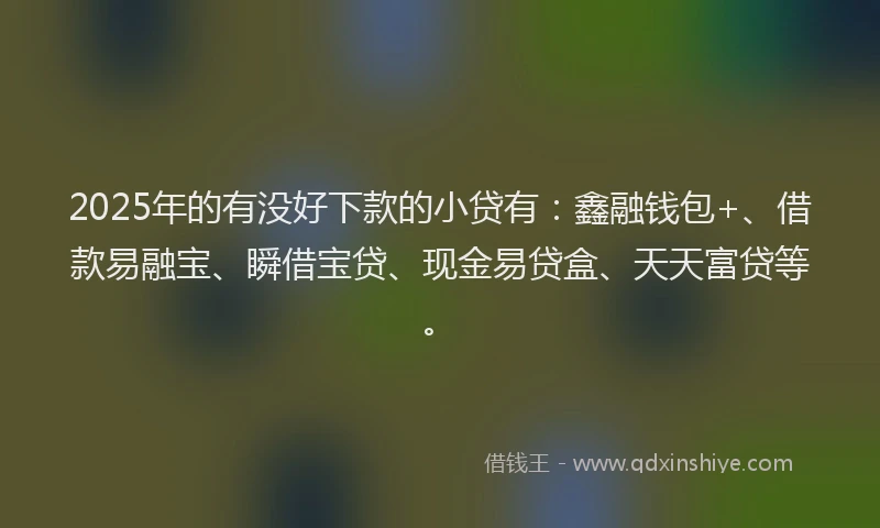 2025年的有没好下款的小贷有：鑫融钱包+、借款易融宝、瞬借宝贷、现金易贷盒、天天富贷等。