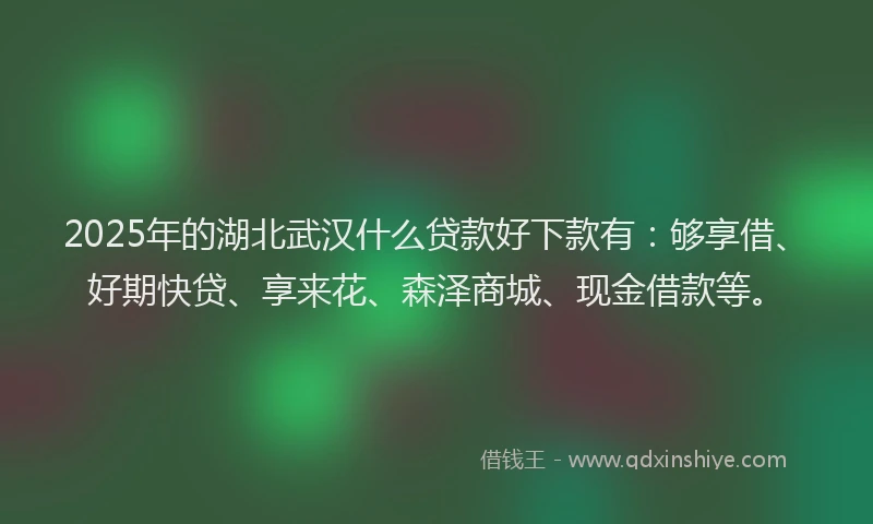 2025年的湖北武汉什么贷款好下款有：够享借、好期快贷、享来花、森泽商城、现金借款等。