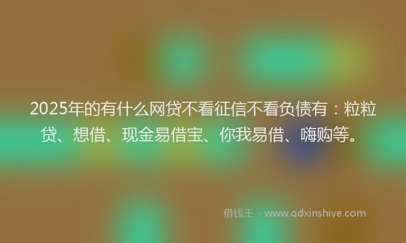 2025年的有什么网贷不看征信不看负债有：粒粒贷、想借、现金易借宝、你我易借、嗨购等。