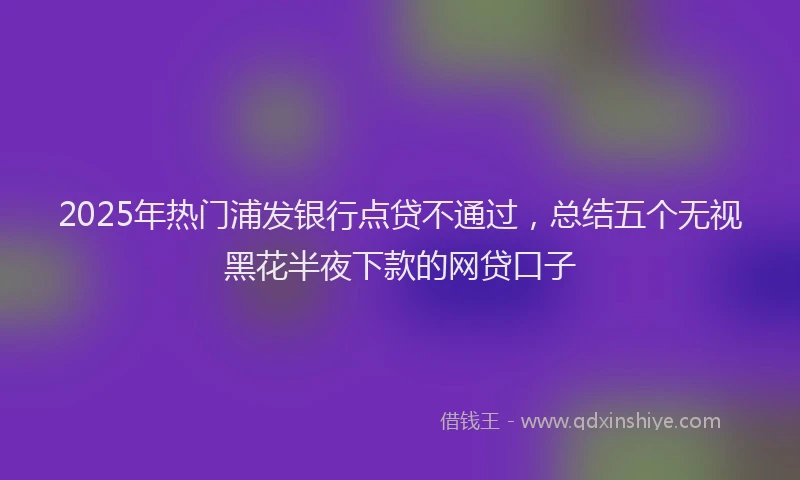 2025年热门浦发银行点贷不通过,总结五个无视黑花半夜下款的网贷口子