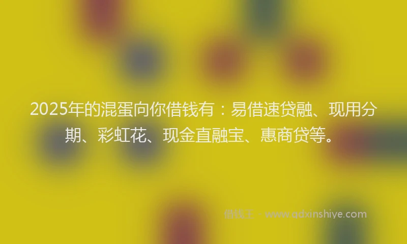 2025年的混蛋向你借钱有：易借速贷融、现用分期、彩虹花、现金直融宝、惠商贷等。
