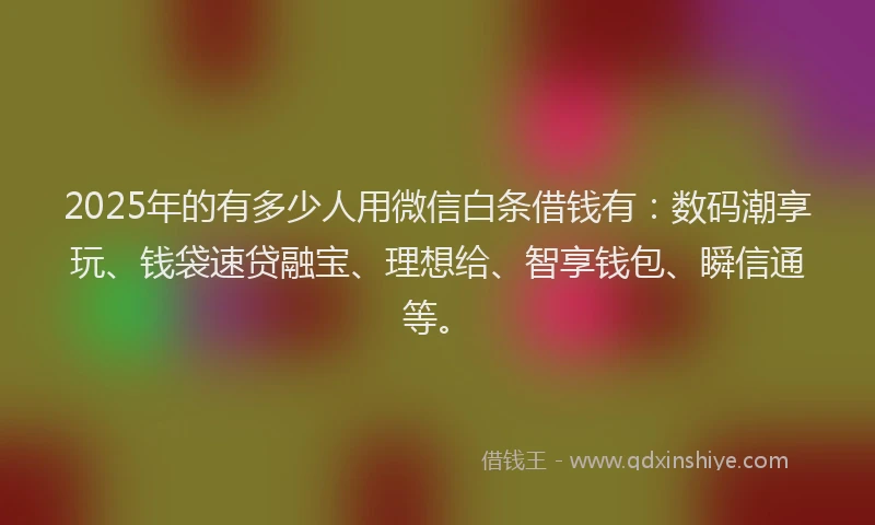 2025年的有多少人用微信白条借钱有：数码潮享玩、钱袋速贷融宝、理想给、智享钱包、瞬信通等。