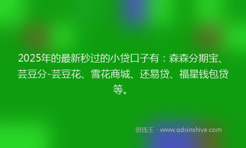 2025年的最新秒过的小贷口子有：森森分期宝、芸豆分-芸豆花、雪花商城、还易贷、福星钱包贷等。