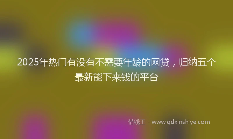 2025年热门有没有不需要年龄的网贷,归纳五个最新能下来钱的平台