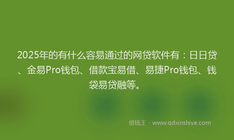 2025年的有什么容易通过的网贷软件有：日日贷、金易Pro钱包、借款宝易借、易捷Pro钱包、钱袋易贷融等。