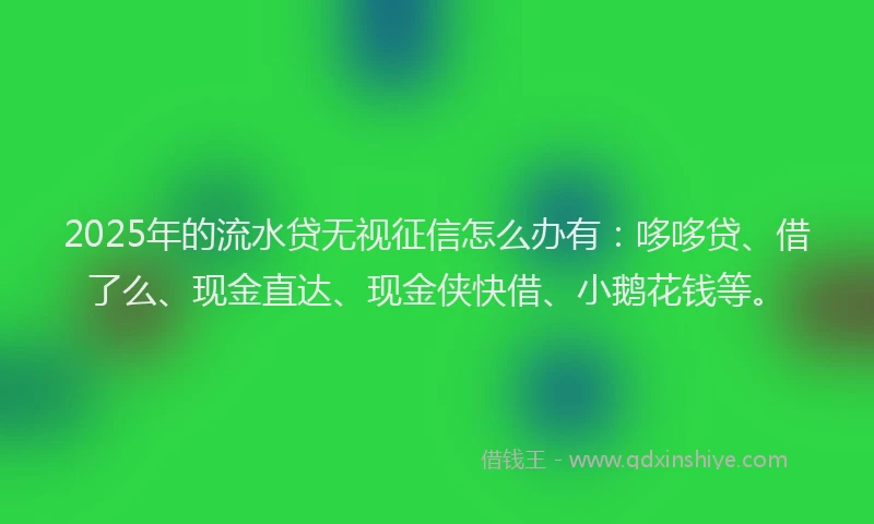 2025年的流水贷无视征信怎么办有：哆哆贷、借了么、现金直达、现金侠快借、小鹅花钱等。