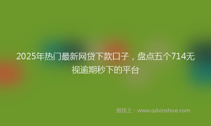2025年热门最新网贷下款口子，盘点五个714无视逾期秒下的平台