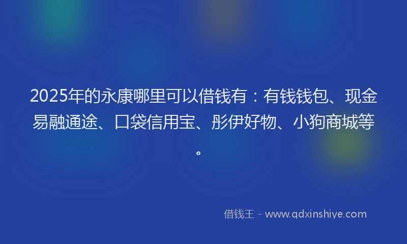 2025年的永康哪里可以借钱有：有钱钱包、现金易融通途、口袋信用宝、彤伊好物、小狗商城等。
