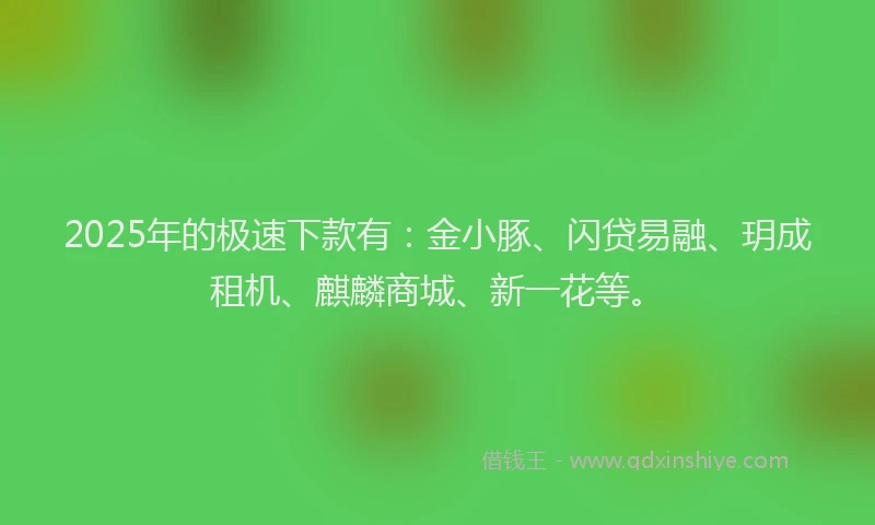 2025年的极速下款有：金小豚、闪贷易融、玥成租机、麒麟商城、新一花等。