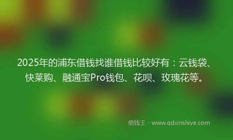 2025年的浦东借钱找谁借钱比较好有：云钱袋、快莱购、融通宝Pro钱包、花呗、玫瑰花等。