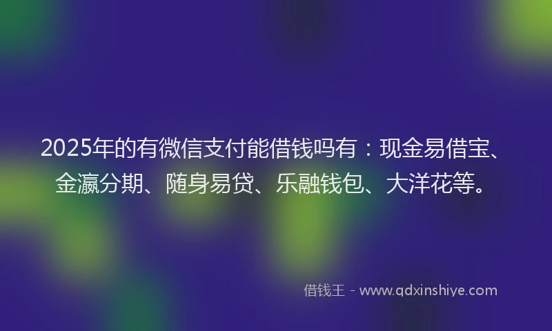 2025年的有微信支付能借钱吗有：现金易借宝、金瀛分期、随身易贷、乐融钱包、大洋花等。