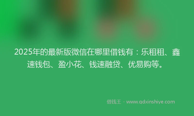 2025年的最新版微信在哪里借钱有：乐租租、鑫速钱包、盈小花、钱速融贷、优易购等。