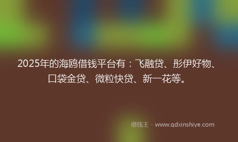 2025年的海鸥借钱平台有：飞融贷、彤伊好物、口袋金贷、微粒快贷、新一花等。