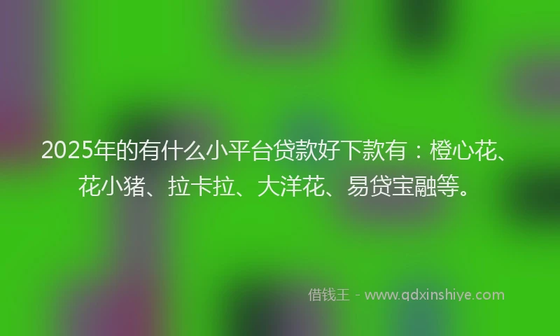 2025年的有什么小平台贷款好下款有：橙心花、花小猪、拉卡拉、大洋花、易贷宝融等。
