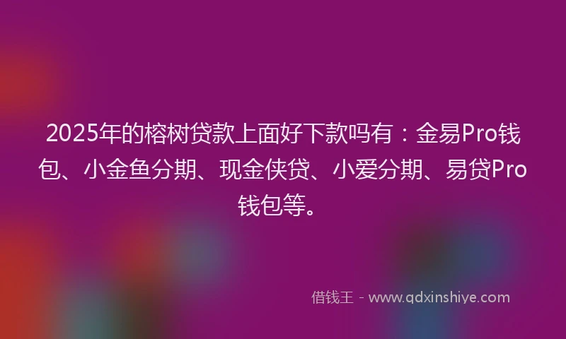 2025年的榕树贷款上面好下款吗有:金易Pro钱包、小金鱼分期、现金侠贷、小爱分期、易贷Pro钱包等。