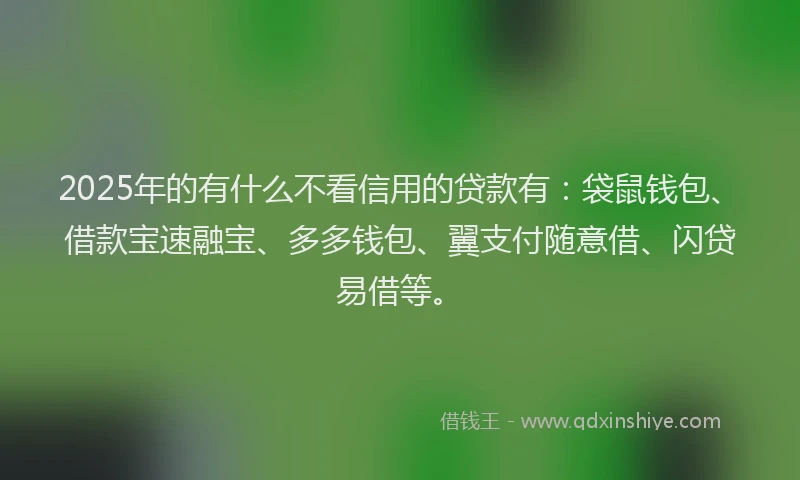 2025年的有什么不看信用的贷款有：袋鼠钱包、借款宝速融宝、多多钱包、翼支付随意借、闪贷易借等。