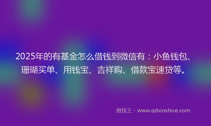 2025年的有基金怎么借钱到微信有：小鱼钱包、珊瑚买单、用钱宝、吉祥购、借款宝速贷等。