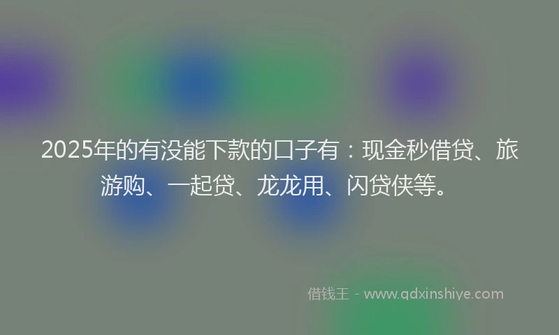 2025年的有没能下款的口子有：现金秒借贷、旅游购、一起贷、龙龙用、闪贷侠等。