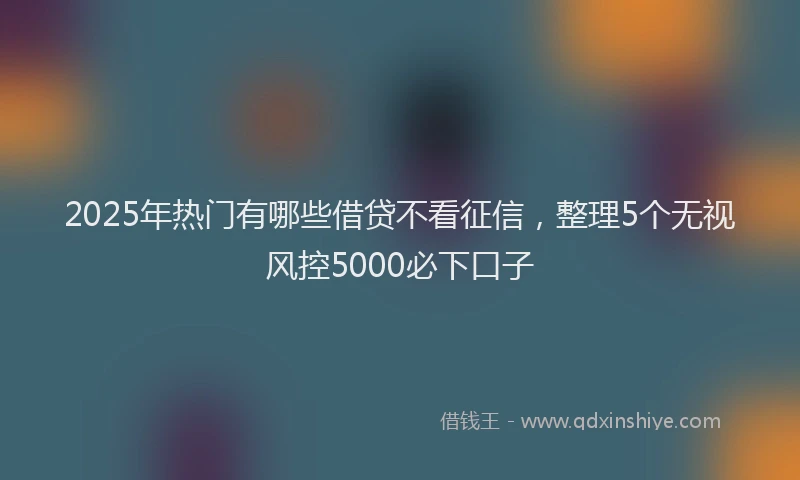 2025年热门有哪些借贷不看征信，整理5个无视风控5000必下口子