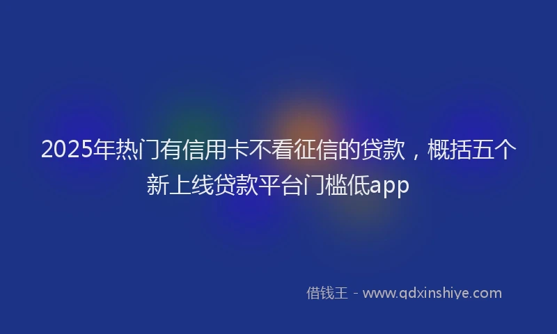 2025年热门有信用卡不看征信的贷款，概括五个新上线贷款平台门槛低app