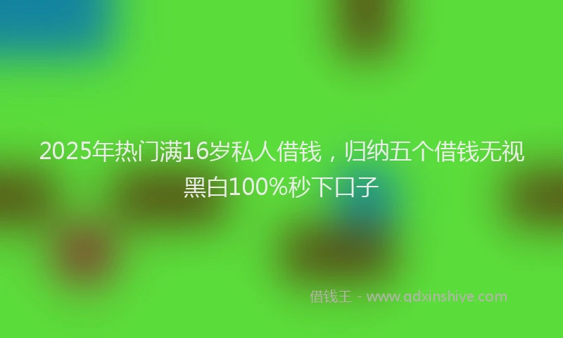 2025年热门满16岁私人借钱，归纳五个借钱无视黑白100%秒下口子