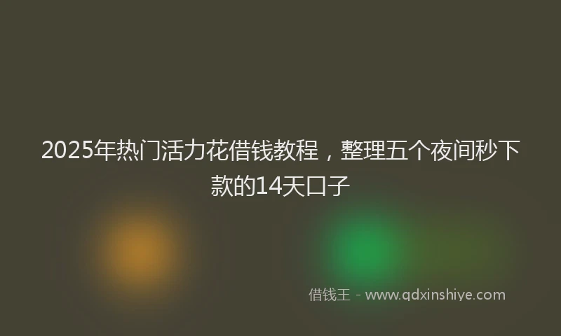 2025年热门活力花借钱教程,整理五个夜间秒下款的14天口子