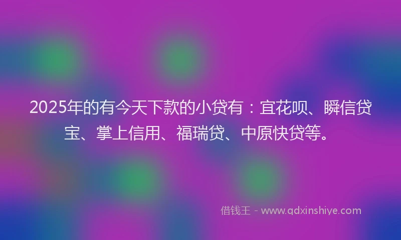 2025年的有今天下款的小贷有：宜花呗、瞬信贷宝、掌上信用、福瑞贷、中原快贷等。