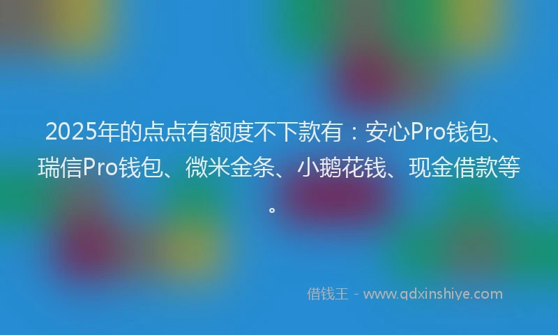 2025年的点点有额度不下款有：安心Pro钱包、瑞信Pro钱包、微米金条、小鹅花钱、现金借款等。