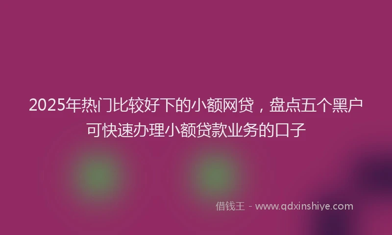 2025年热门比较好下的小额网贷，盘点五个黑户可快速办理小额贷款业务的口子