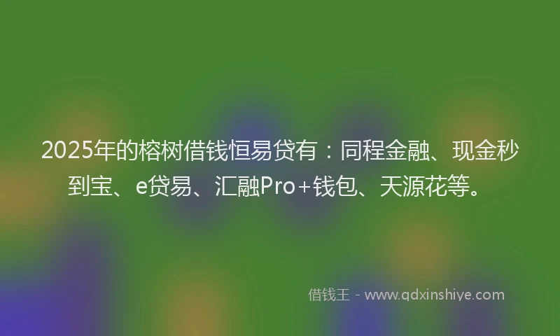 2025年的榕树借钱恒易贷有：同程金融、现金秒到宝、e贷易、汇融Pro+钱包、天源花等。