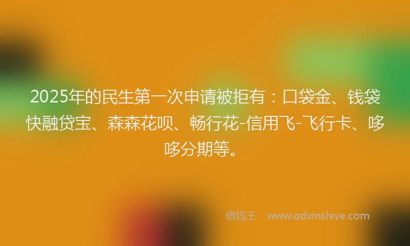 2025年的民生第一次申请被拒有：口袋金、钱袋快融贷宝、森森花呗、畅行花-信用飞-飞行卡、哆哆分期等。