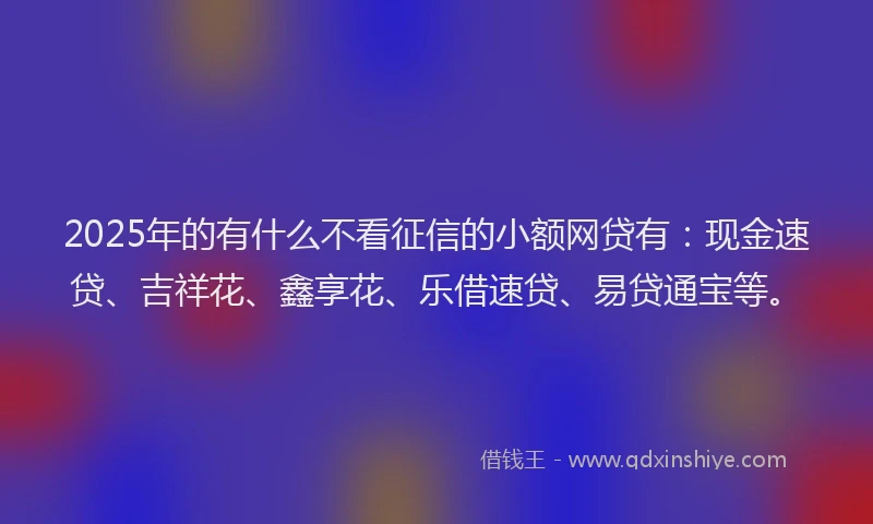 2025年的有什么不看征信的小额网贷有:现金速贷、吉祥花、鑫享花、乐借速贷、易贷通宝等。