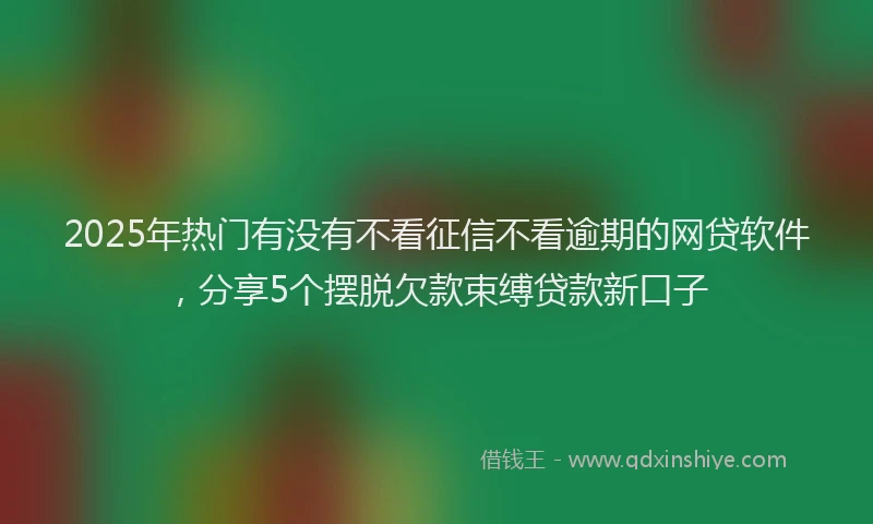 2025年热门有没有不看征信不看逾期的网贷软件，分享5个摆脱欠款束缚贷款新口子