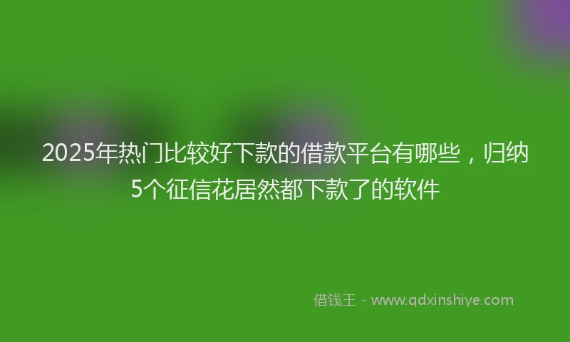 2025年热门比较好下款的借款平台有哪些，归纳5个征信花居然都下款了的软件