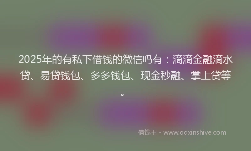 2025年的有私下借钱的微信吗有：滴滴金融滴水贷、易贷钱包、多多钱包、现金秒融、掌上贷等。