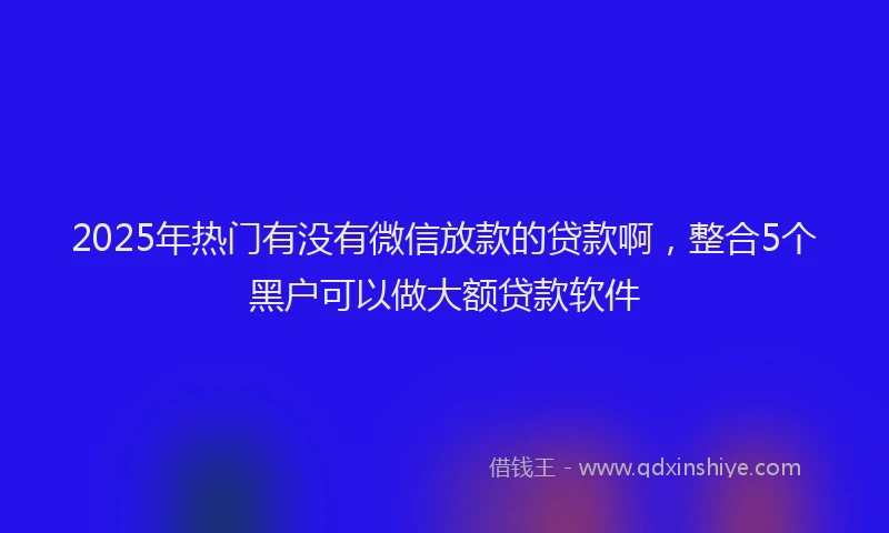 2025年热门有没有微信放款的贷款啊，整合5个黑户可以做大额贷款软件