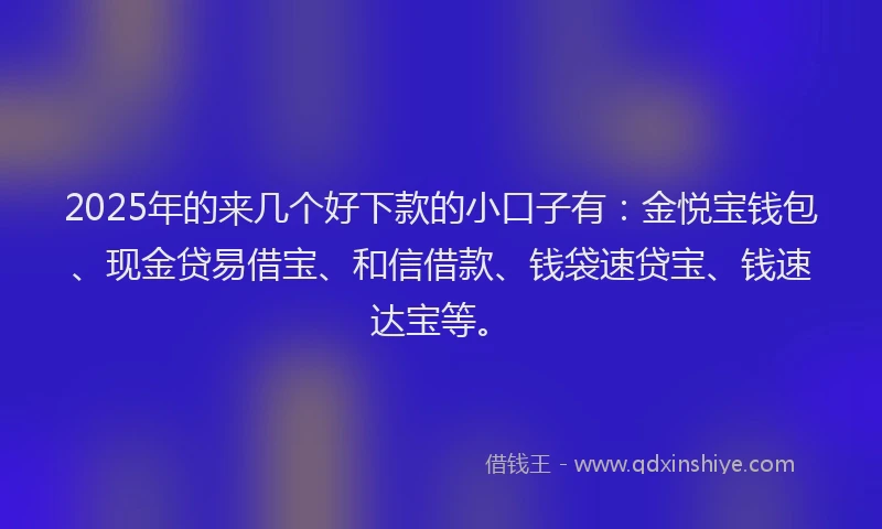 2025年的来几个好下款的小口子有:金悦宝钱包、现金贷易借宝、和信借款、钱袋速贷宝、钱速达宝等。