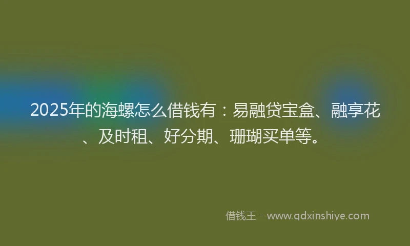 2025年的海螺怎么借钱有：易融贷宝盒、融享花、及时租、好分期、珊瑚买单等。