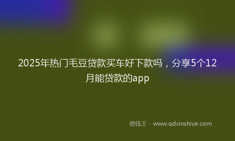 2025年热门毛豆贷款买车好下款吗，分享5个12月能贷款的app