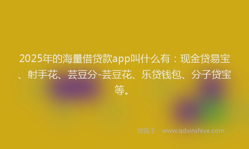2025年的海量借贷款app叫什么有：现金贷易宝、射手花、芸豆分-芸豆花、乐贷钱包、分子贷宝等。